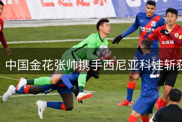 中国金花张帅携手西尼亚科娃斩获多伦多赛女双桂冠